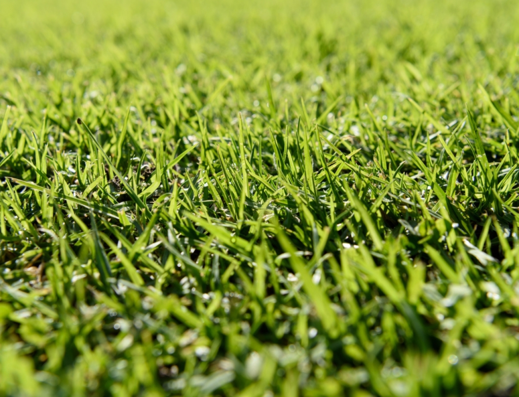 Synthetic Grass | Sidik Garden Services